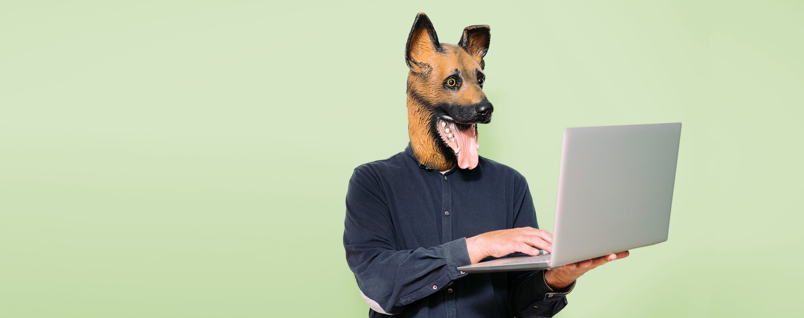 person with a dog mask typing on a laptop computer